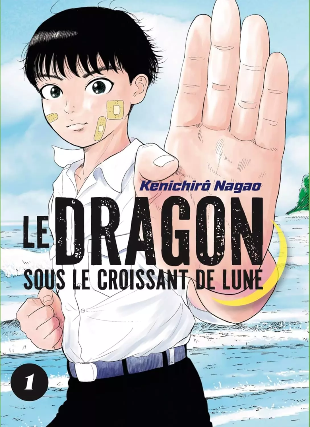 dragon-sous-le-croissant-de-lune-1-lezard-noir.jpg